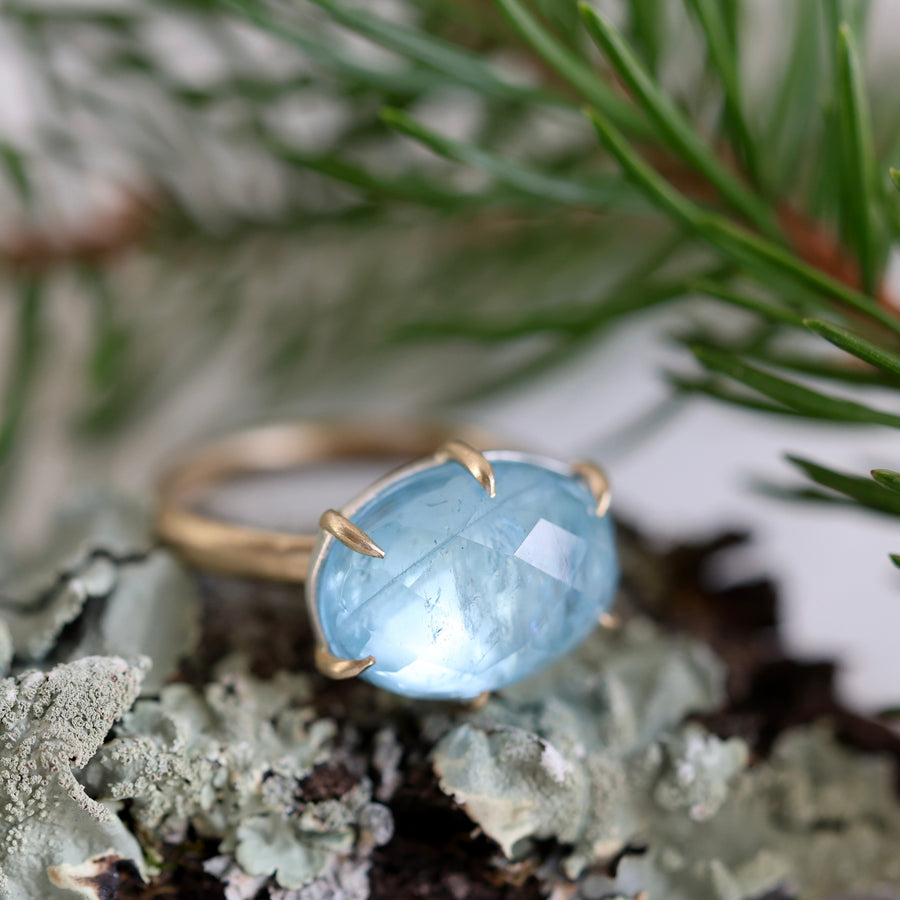 Gold ring with a blue gemstone on a natural background of lichen and pine needles.