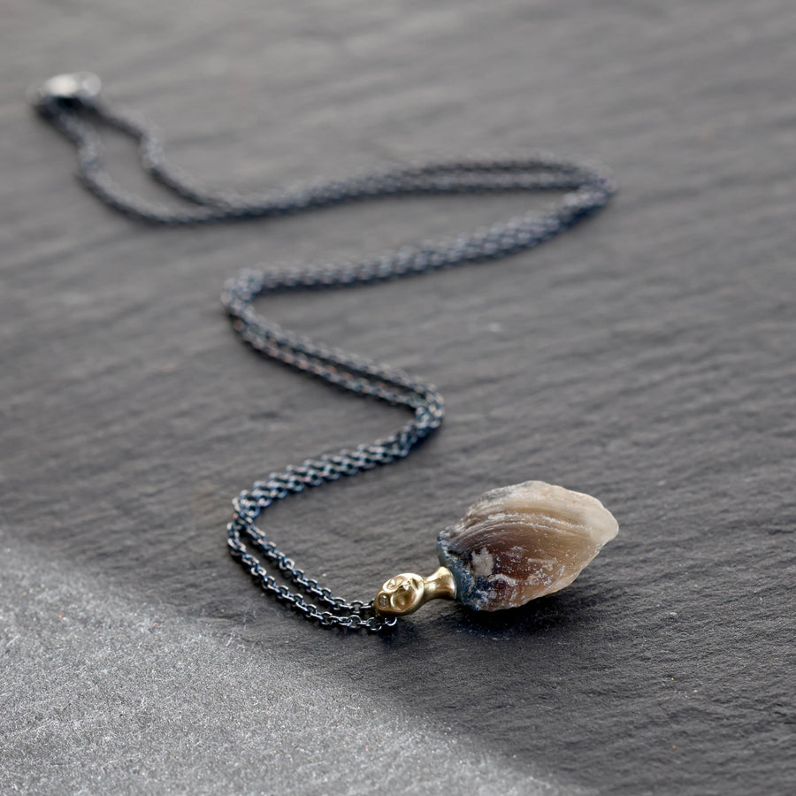 Necklace with a clambshell fossil pendant on a stone background