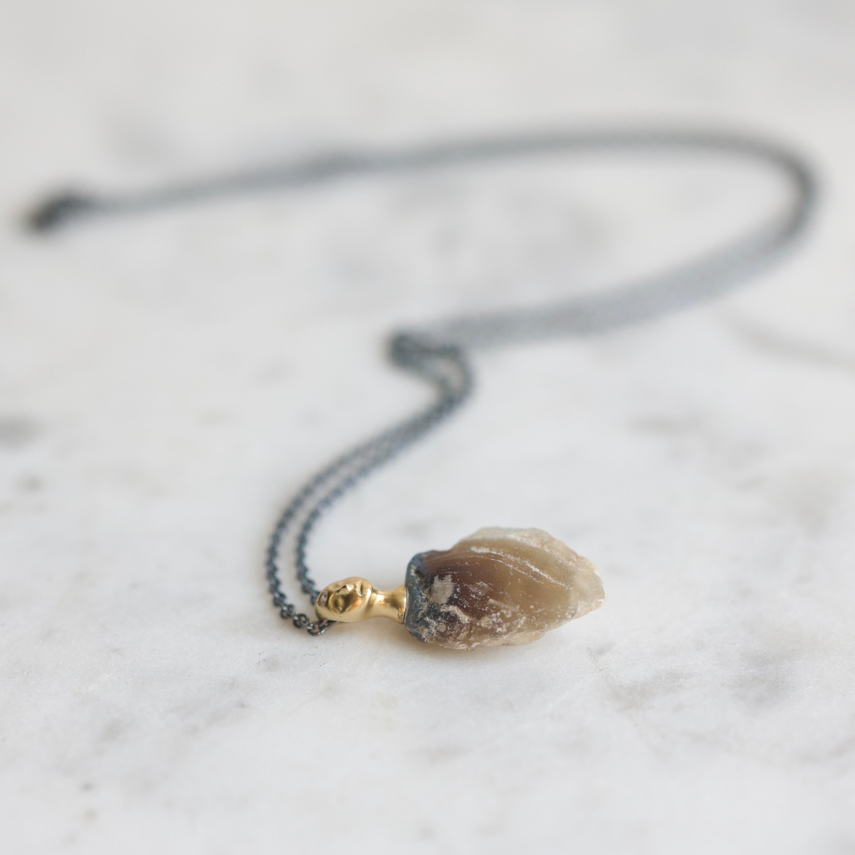 Necklace with a clambshell fossil pendant on a stone background