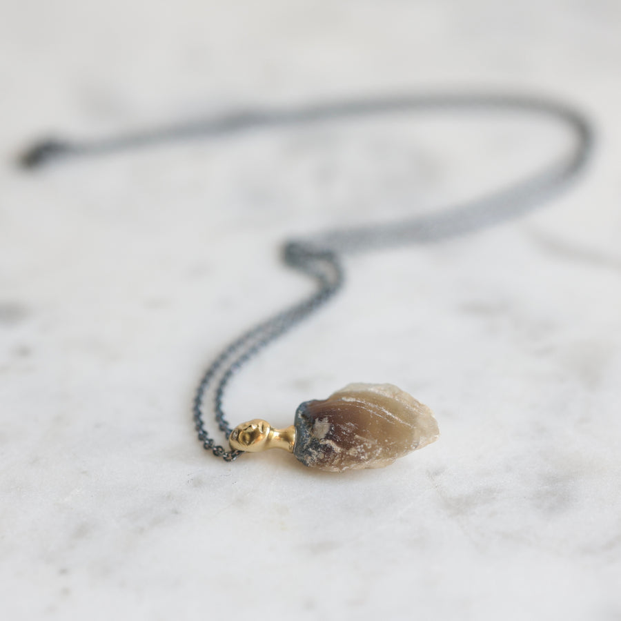 Necklace with a clambshell fossil pendant on a stone background