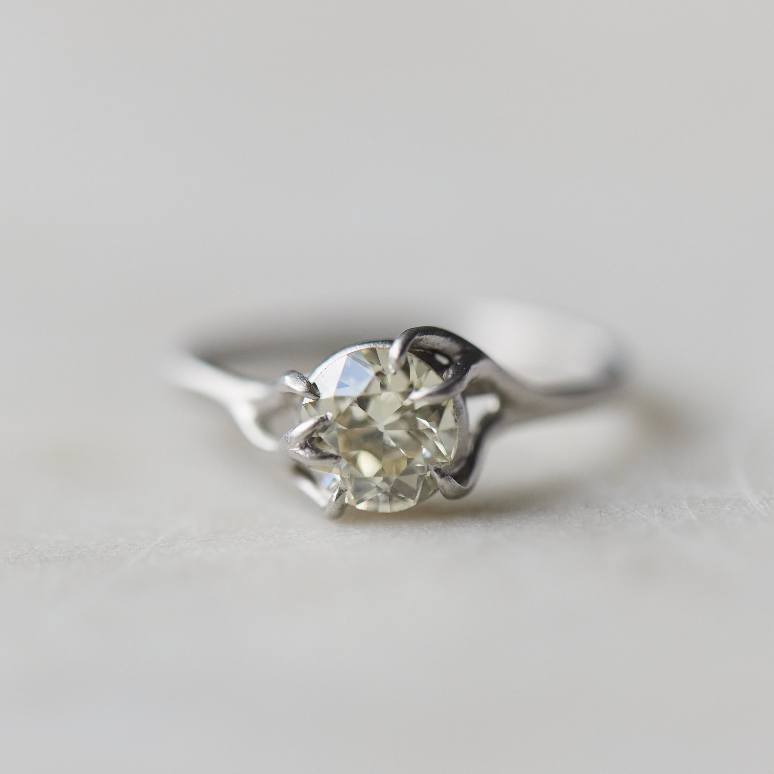 Diamond platinum branch ring