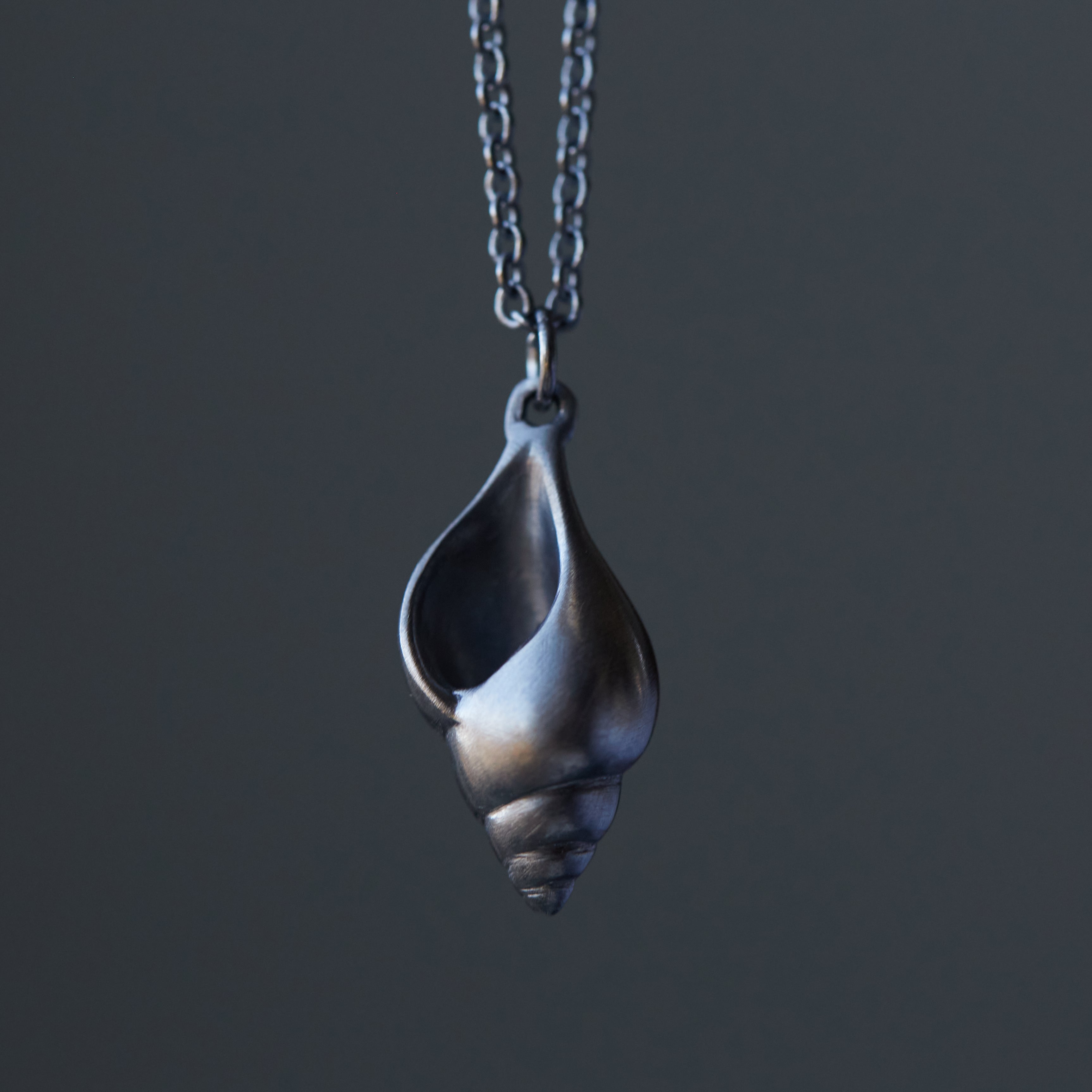 Little tulip shell oxidized silver necklace by Hannah Blount