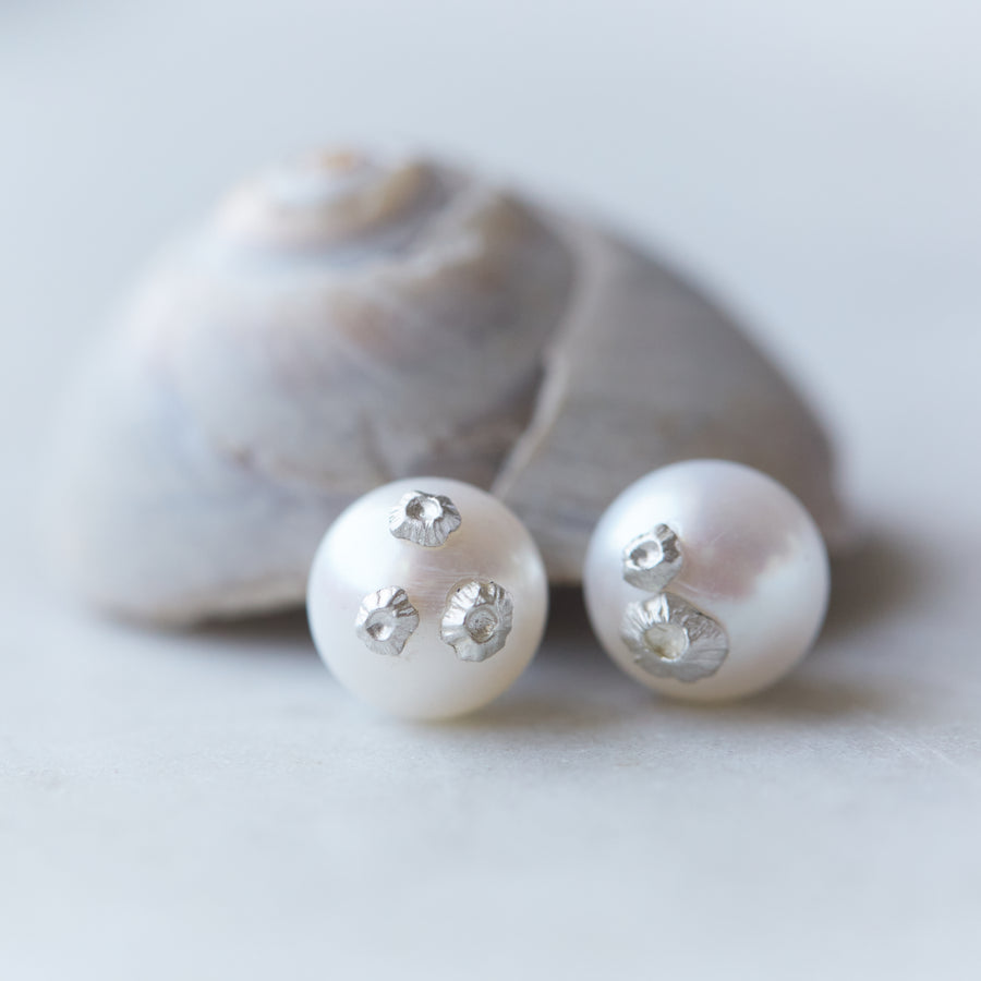 Pearl studs with silver barnacles by Hannah Blount