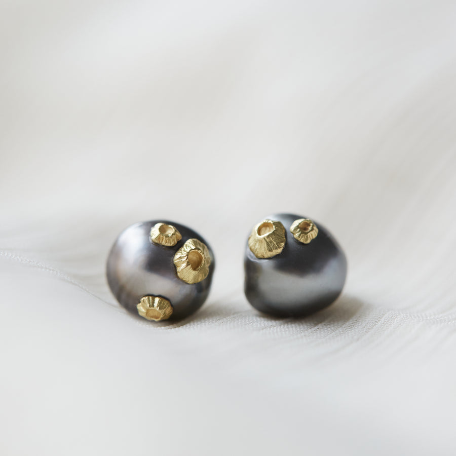 tahitian black pearl studs with gold barnacles by hannah blount jewelry