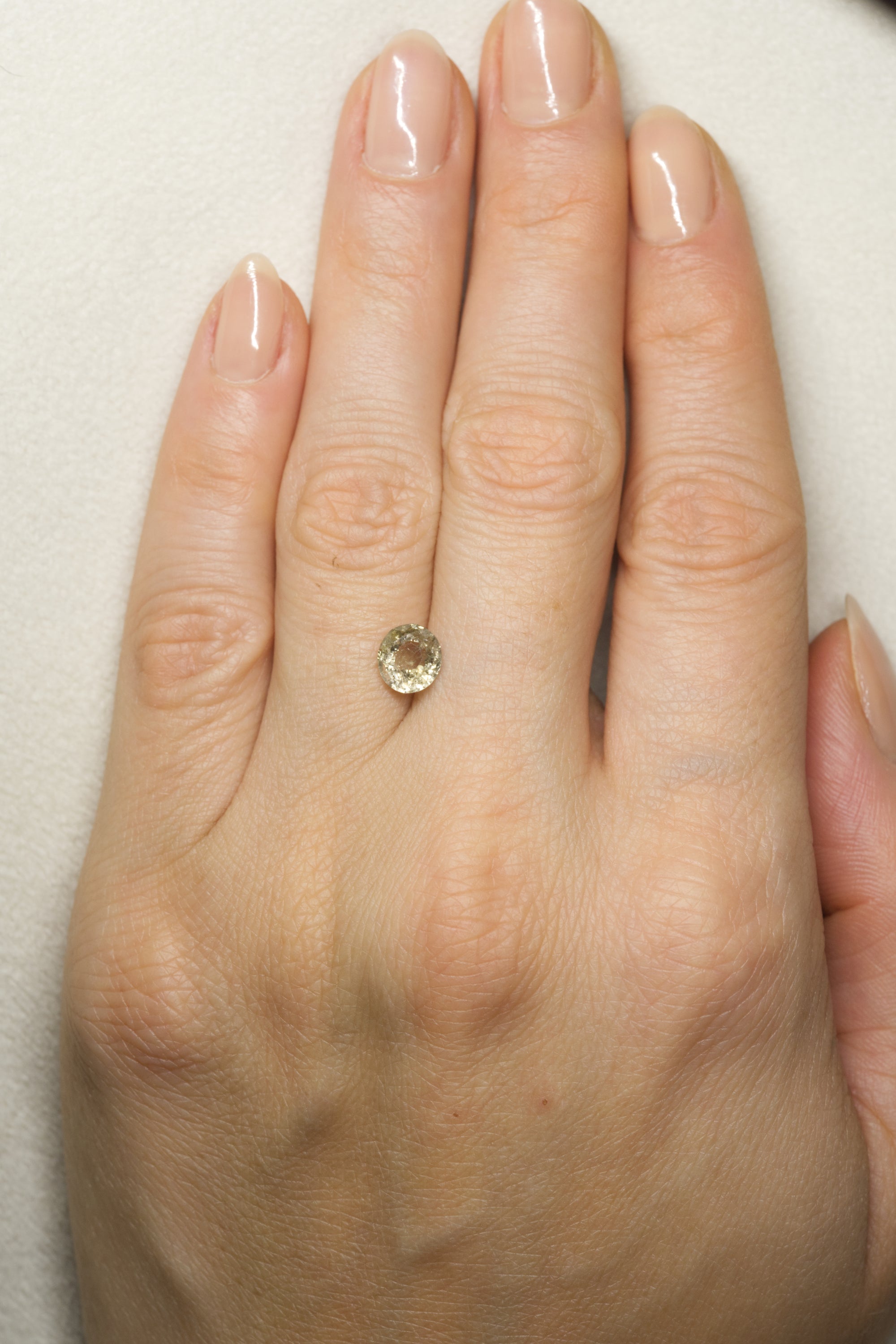 1.2ct Gold Montana Sapphire on hand for scale