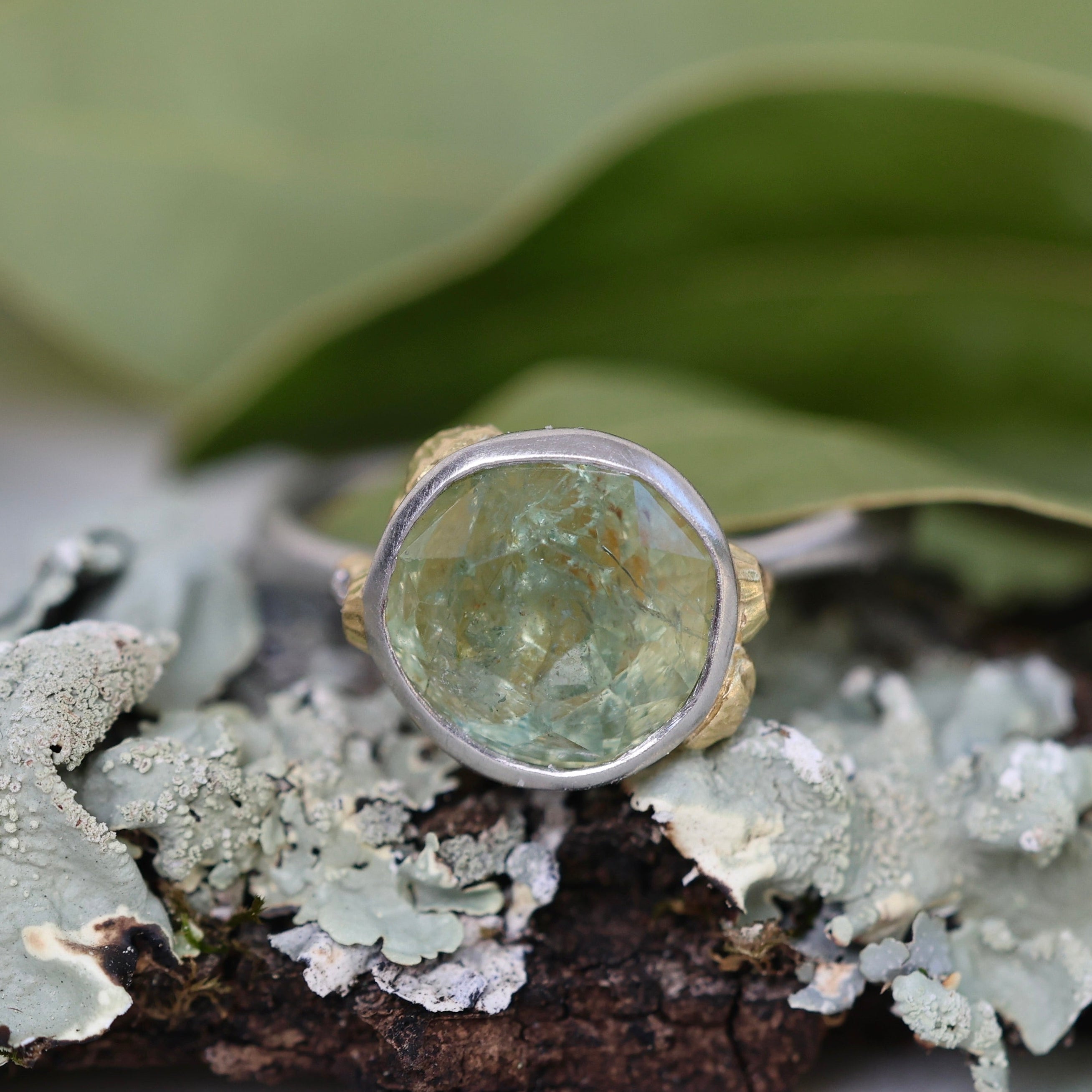 Ring with a green Montana sapphire stone on a lichen-covered branch