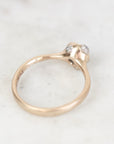 Gold bezel ring with platinum barnacle details. 