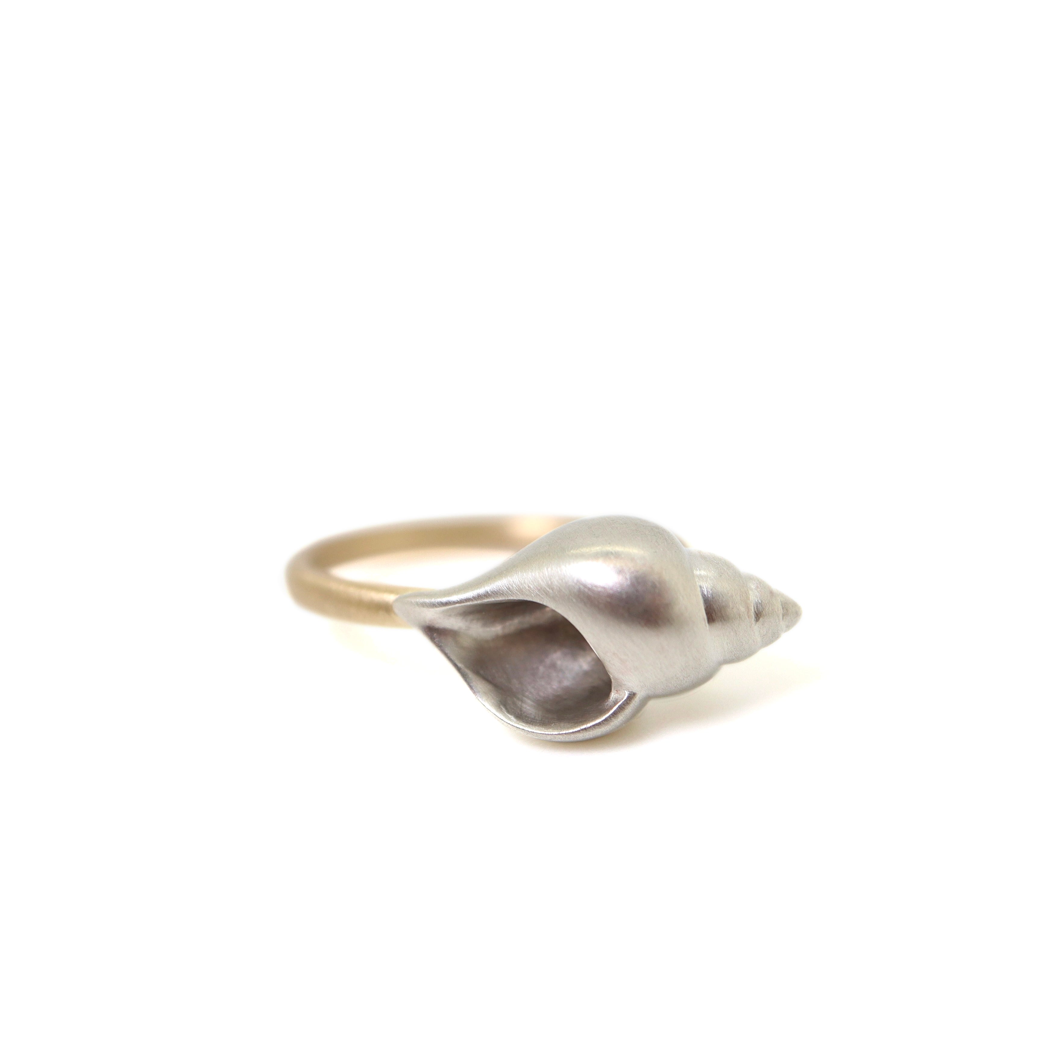 Tulip shell ring - Hannah Blount