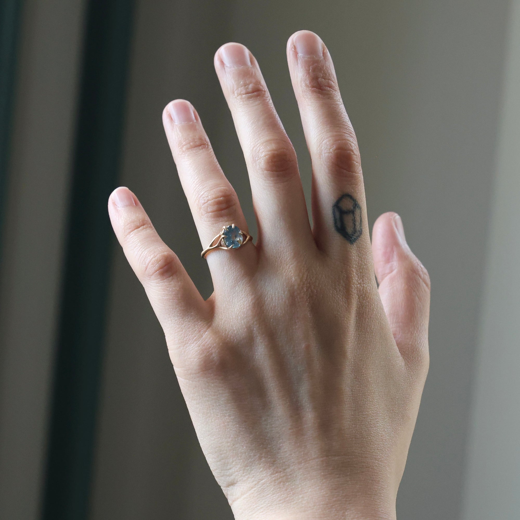 Hand with a ring on a blurred background