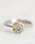 Diamond ring set in platinum bezel with gold barnacles clinging 