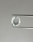 Video of 1.835 White Montana Sapphire