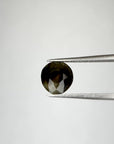 3.725ct Chocolate Brown Montana Sapphire
