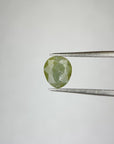 1.73ct Moss Yellow Montana Sapphire