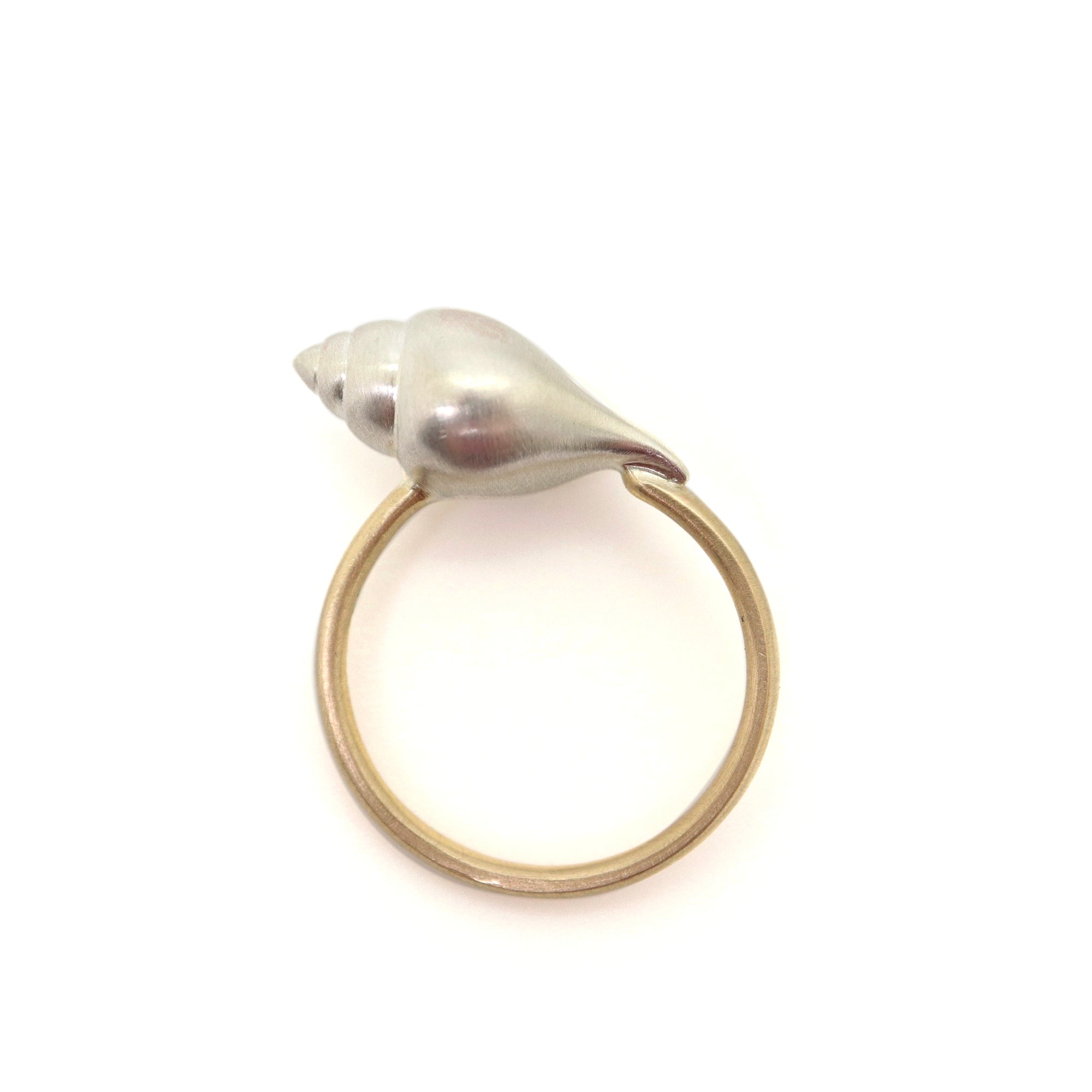 shell jewelry - Hannah Blount