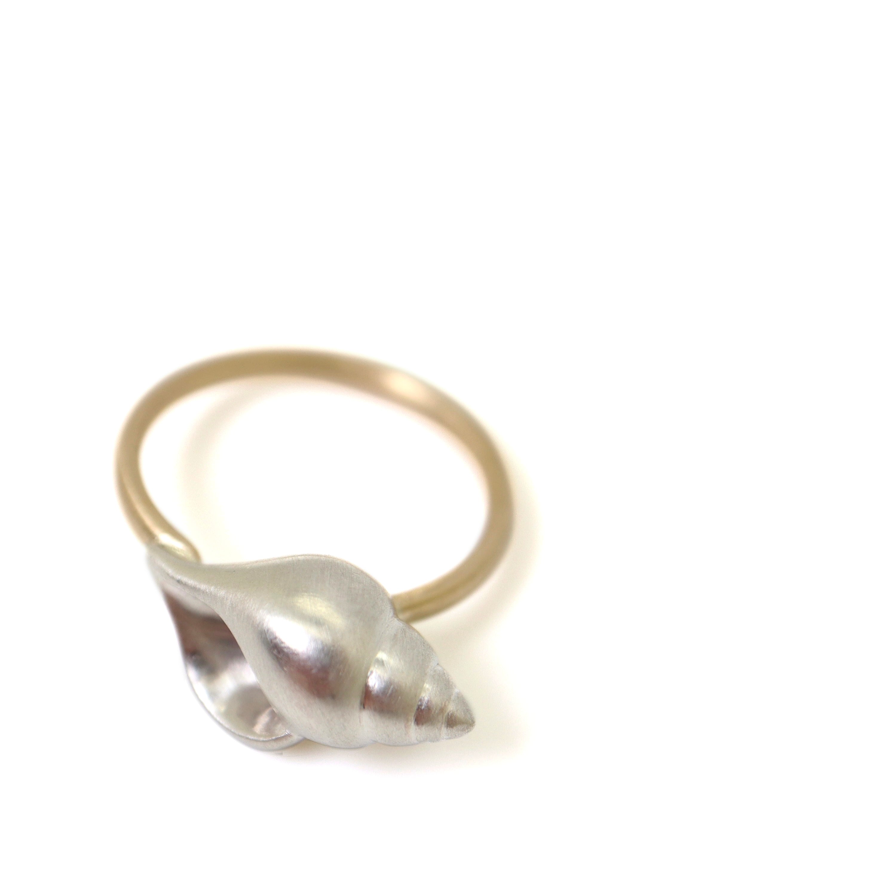 Shell ring - Hannah Blount