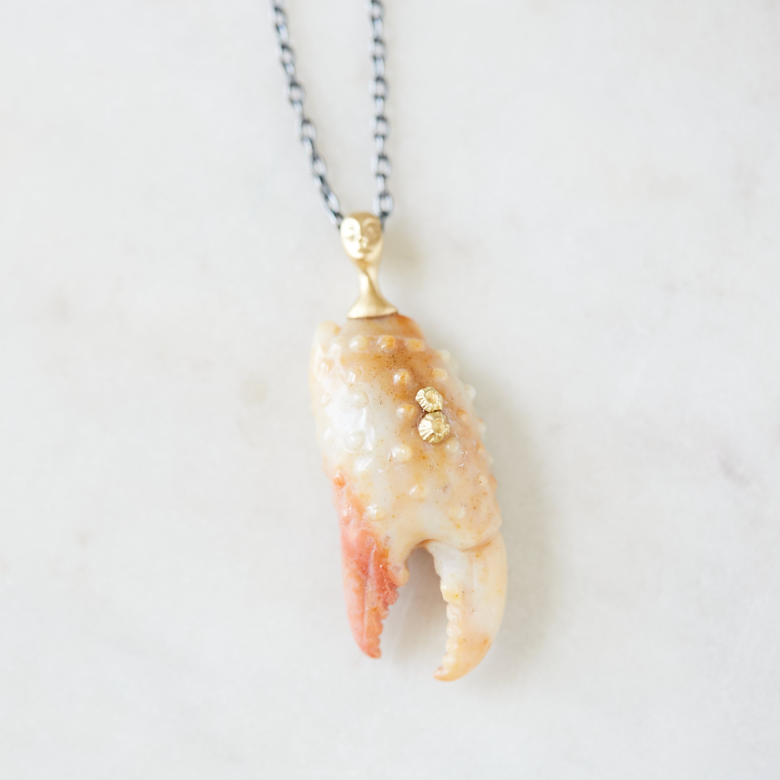 Karkinos Carved Chalcedony Cameo Necklace with Barnacles-Hannah Blount Jewelry