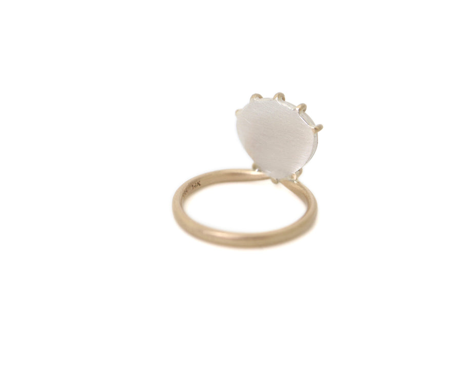 Frangipani Shell Vanity Ring-Hannah Blount Jewelry