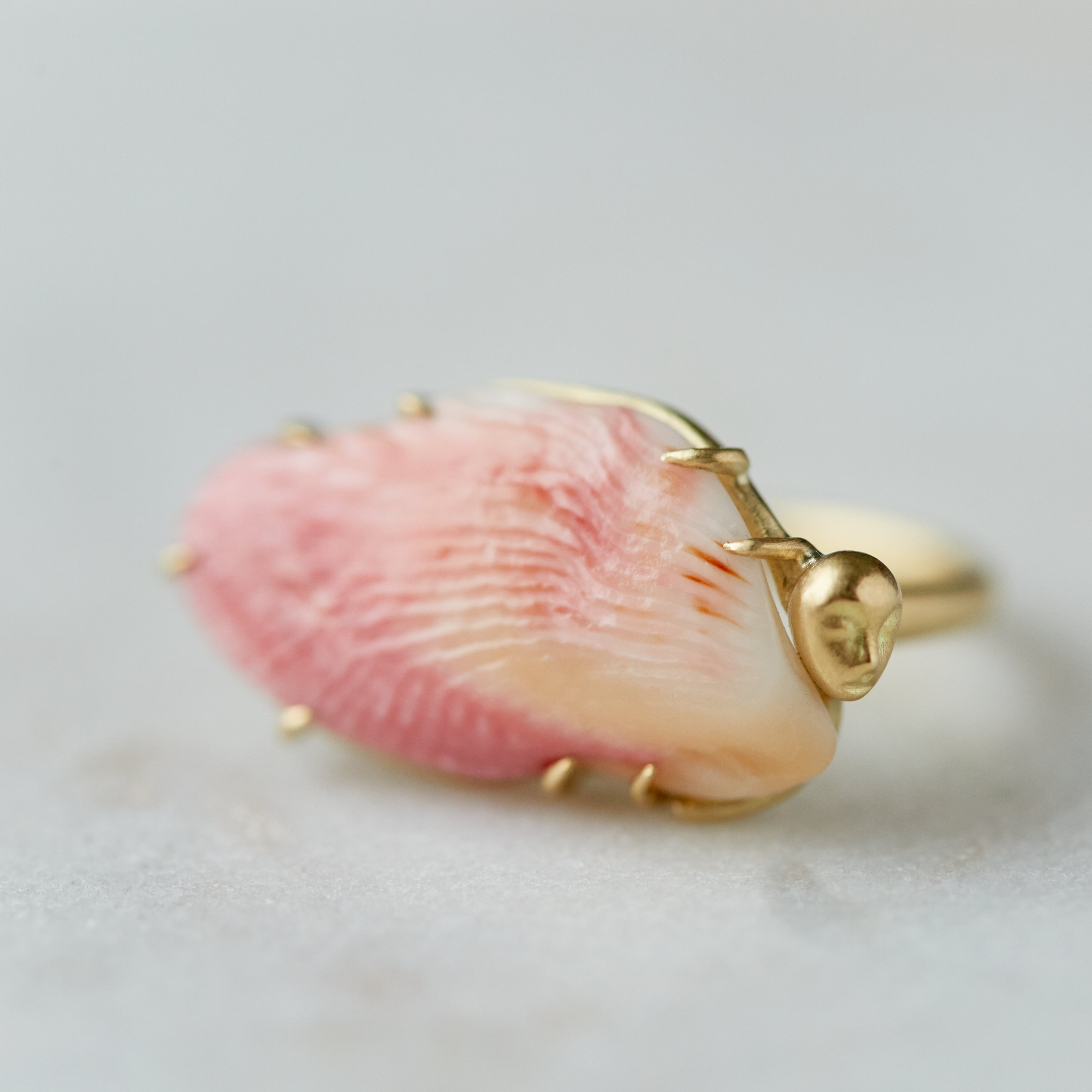 Phoenix Shell Cameo Ring-Hannah Blount Jewelry