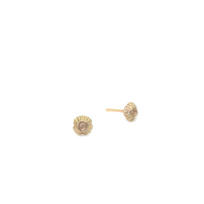 Barnacle Studs in 14k gold-Hannah Blount Jewelry